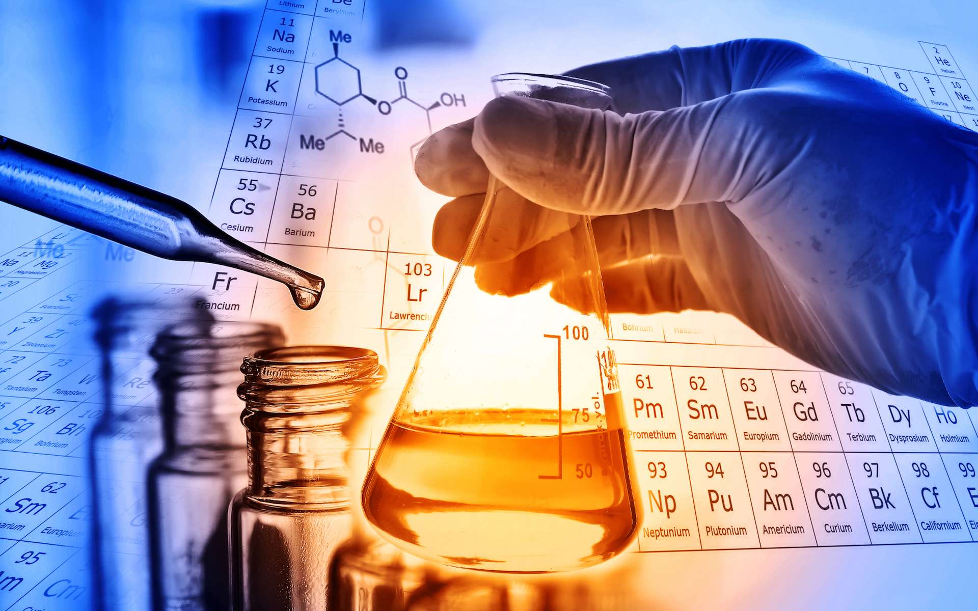 شركة مواد غذائية توفر وظائف لحملة البكالوريوس فأعلى