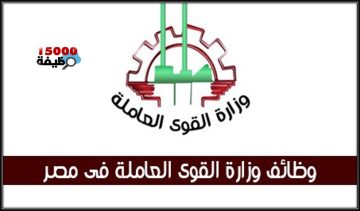 وظائف وزارة القوي العاملة المصرية لمختلف التخصصات محدث باستمرار