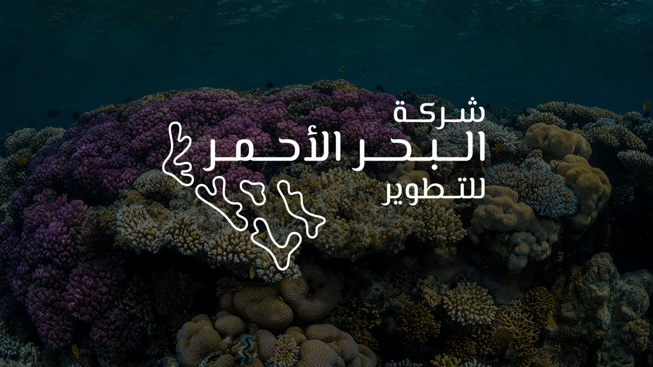 شركة البحر الأحمر الدولية 