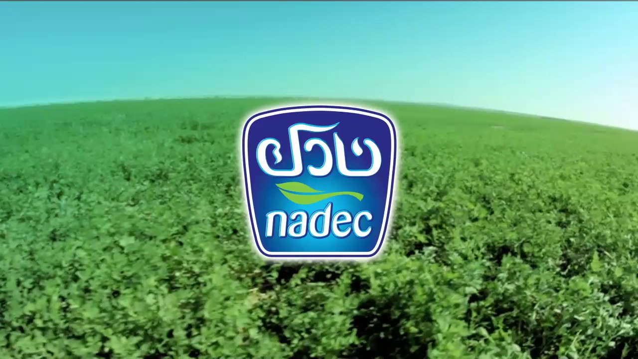 شركة Nadec Foods تطرح شواغر إدارية ومبيعات بالبحرين