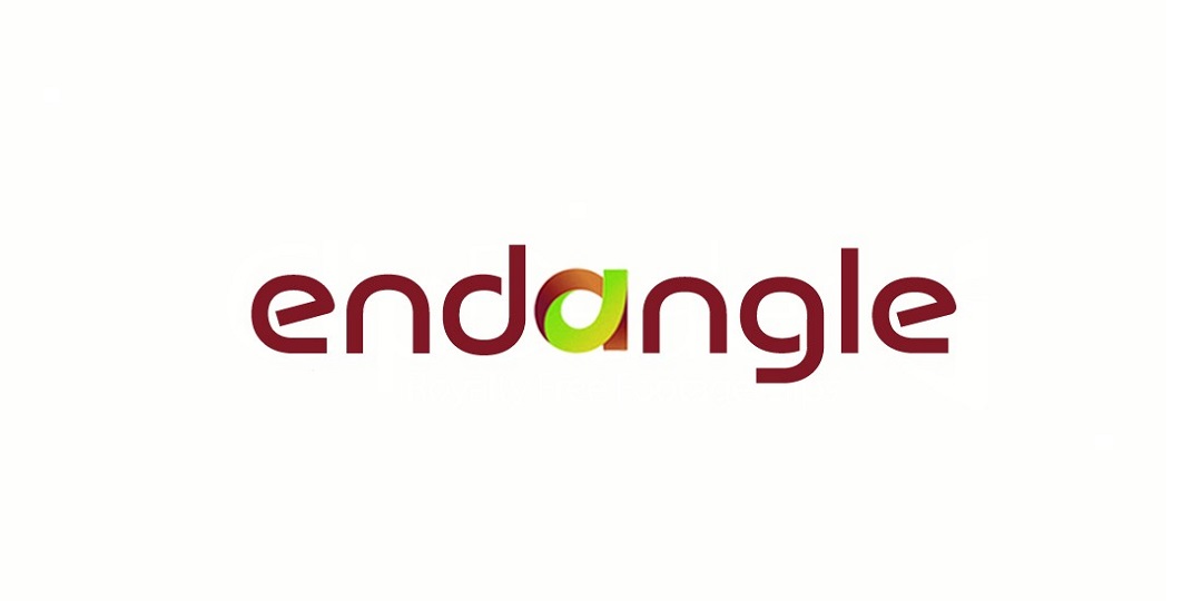 شركة Endangle في قطر تطرح وظائف هندسية